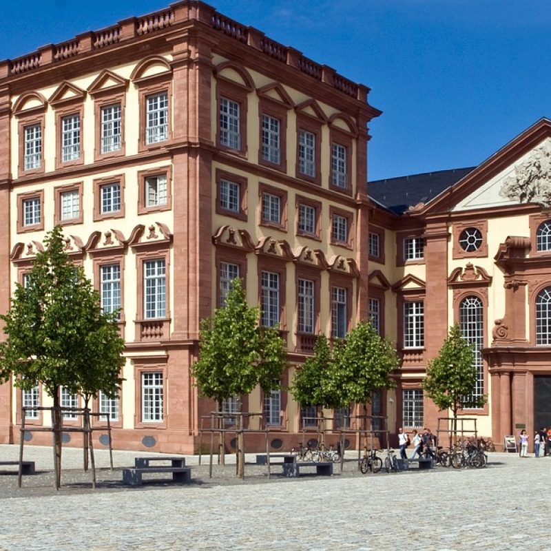 Schädlingsbekämpfung in Mannheim NeckarProtect